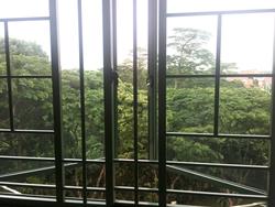 Signature Park (D21), Condominium #133351882